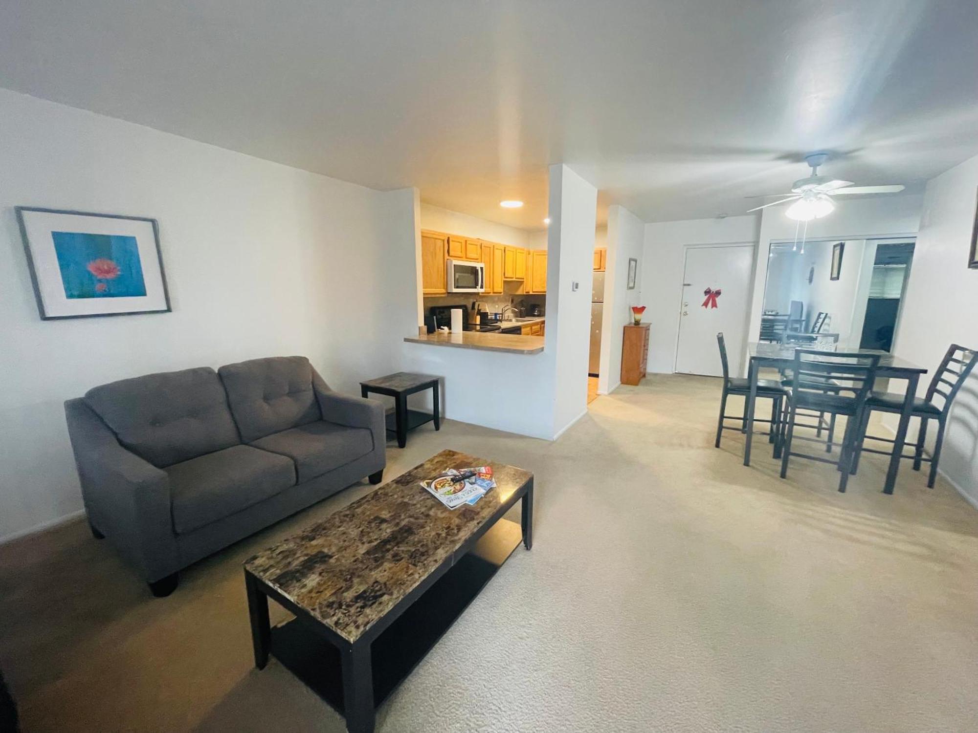 Large, Clean, Comfortable, 1Br Near Einstein Hos Elkins Park エクステリア 写真